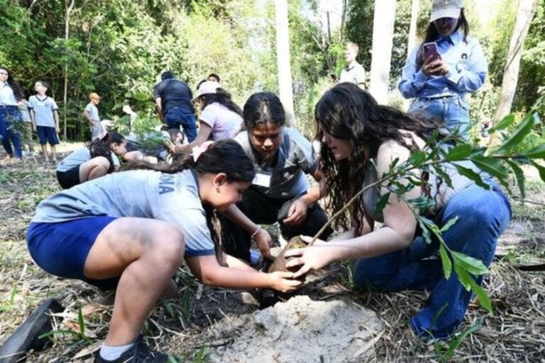 Umuarama vai plantar uma árvore para cada criança nascida na cidade
