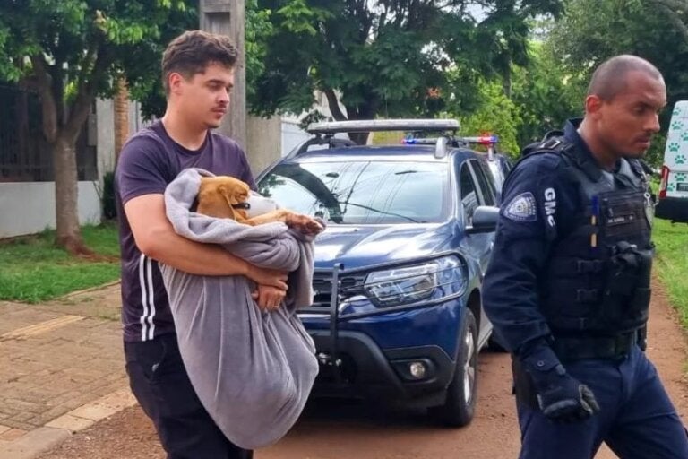 Sangue em residência expõe cenário de violência sexual contra cão no Paraná