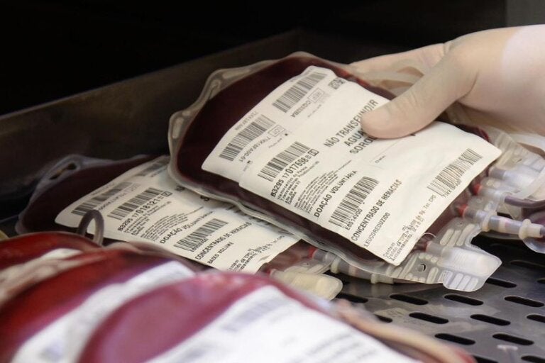 Sem estoque de sangue, Umuarama recorre a Foz do Iguaçu; faça sua doação