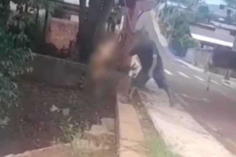 Homem filmado jogando cachorro em córrego é denunciado por maus-tratos pelo MPPR