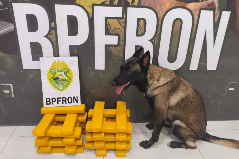 BPFron prende passageiro com 19,4 kg de maconha na Rodoviária de Umuarama