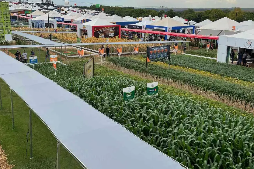 Show Rural 2