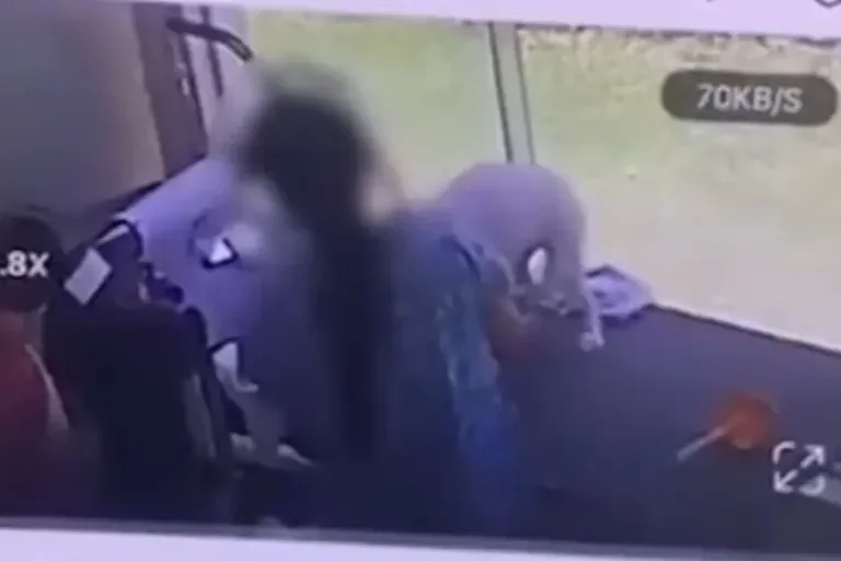 Veterinária é indiciada por maus-tratos a cães em pet shop; cenas foram registradas em vídeo