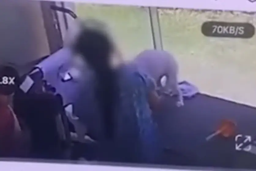 Veterinária é indiciada por maus-tratos a cães em pet shop; cenas foram registradas em vídeo