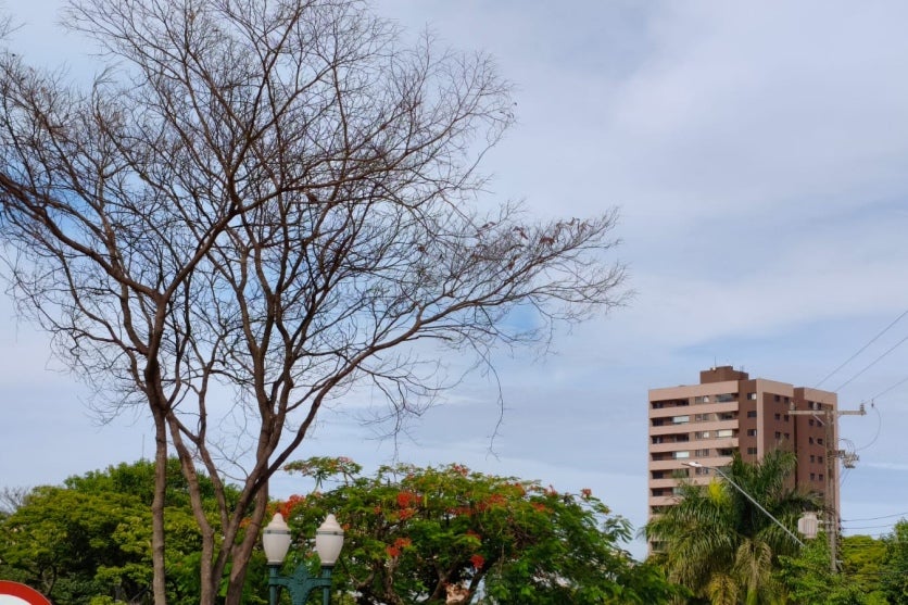 Outono: Março terá temperaturas mais amenas e pouca chuva no Paraná, aponta Simepar