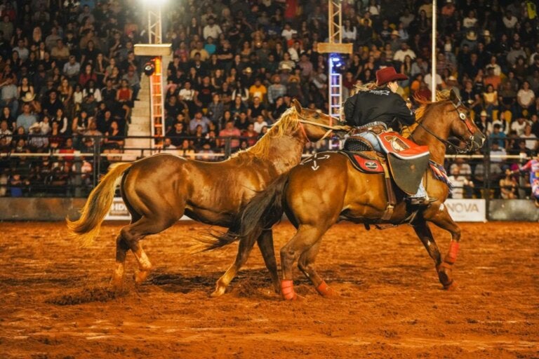 Madrinheiras garantem segurança e ganham protagonismo no rodeio da Expo Umuarama