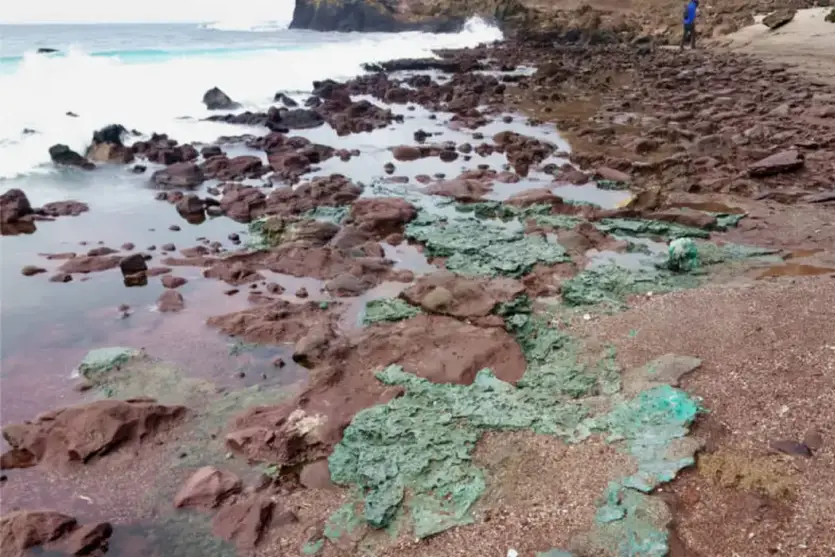 Rochas plásticas começam a se formar próximas a ninhos de ilha brasileira