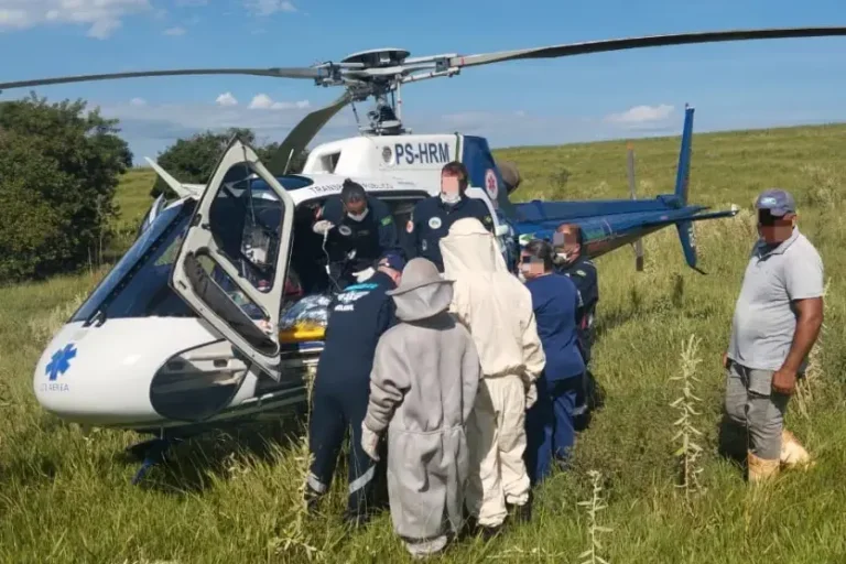 Idoso é resgatado por helicóptero após ataque de abelhas em área rural de Terra Boa