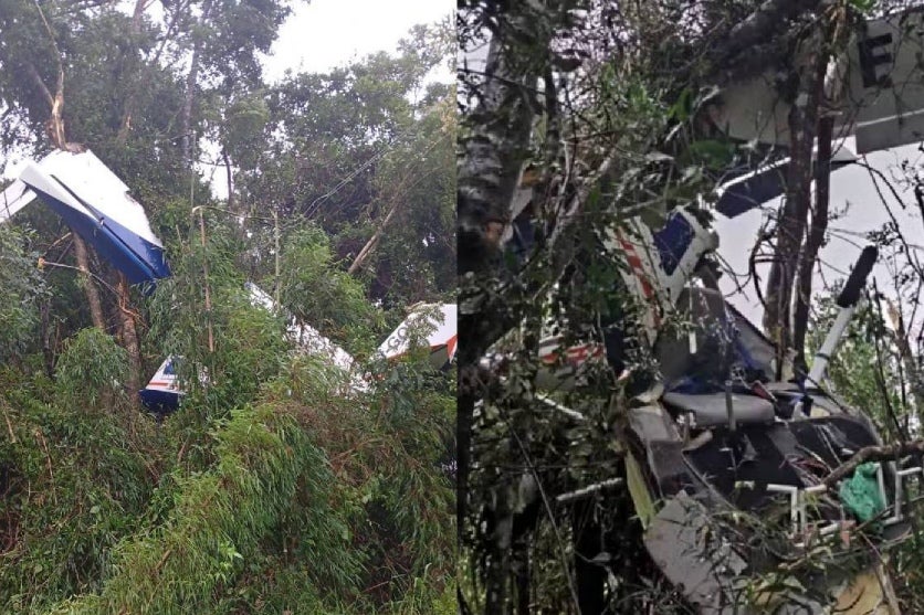 Piloto morre em queda de avião em área de mata no Paraná