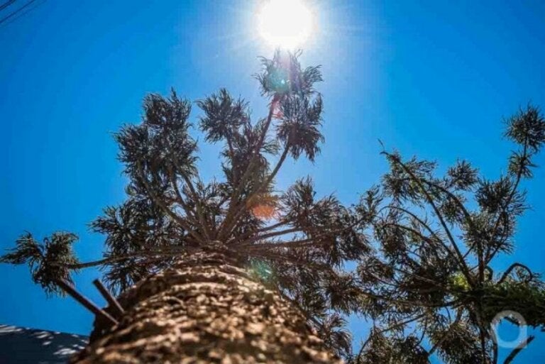 Previsão do tempo em Umuarama indica calor de até 36°C neste fim de semana