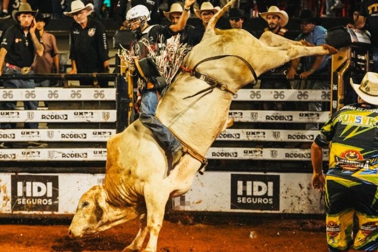 Jovem promessa de 21 anos consagra noite histórica no Rodeio da Expo Umuarama