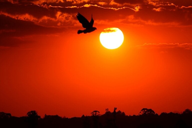 Com La Niña, verão 2025/2026 teve chuva irregular e temperatura chegou a 39,7°C