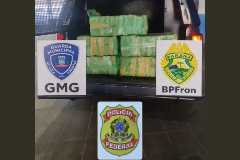 Ação integrada apreende 78 quilos de maconha em área de mata em Guaíra