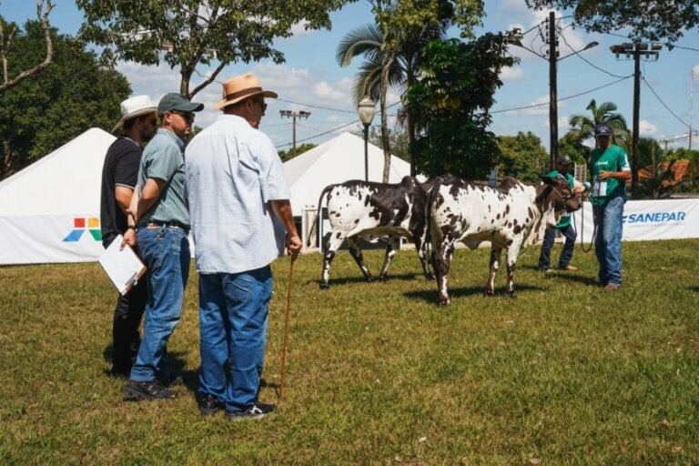 Julgamentos da Expo Umuarama mostram a força da genética