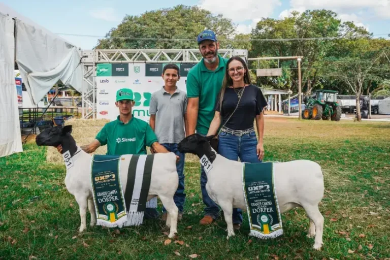 Expo Umuarama divulga vencedores do julgamento de ovinos