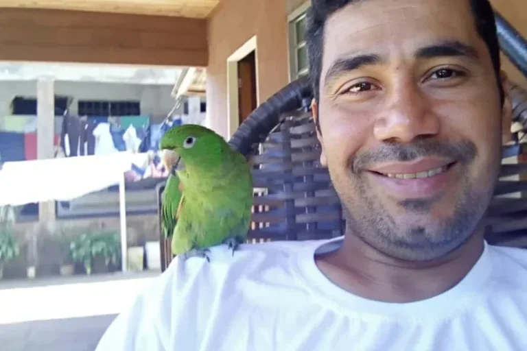 Polícia descarta ligação entre desaparecido há um mês e corpo encontrado em Umuarama