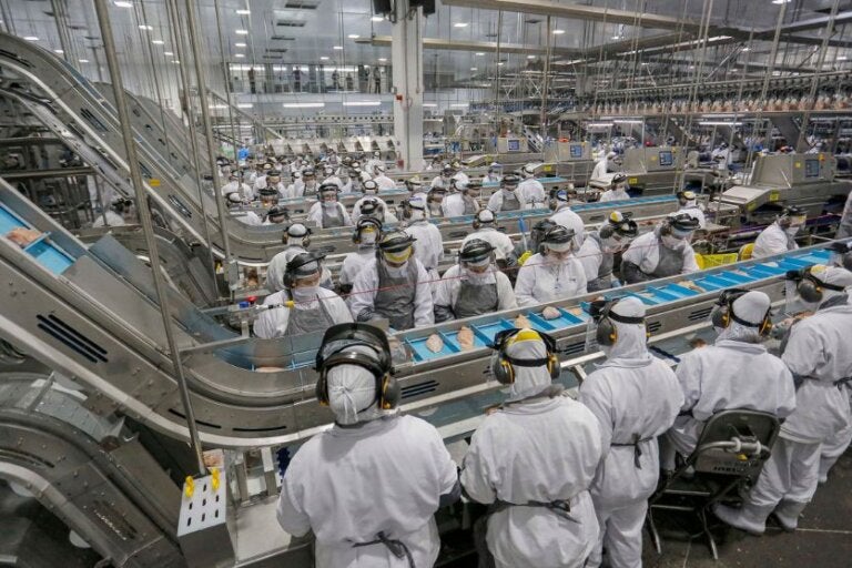 Paraná abre 18.306 novos empregos formais em janeiro, segundo dados do Caged