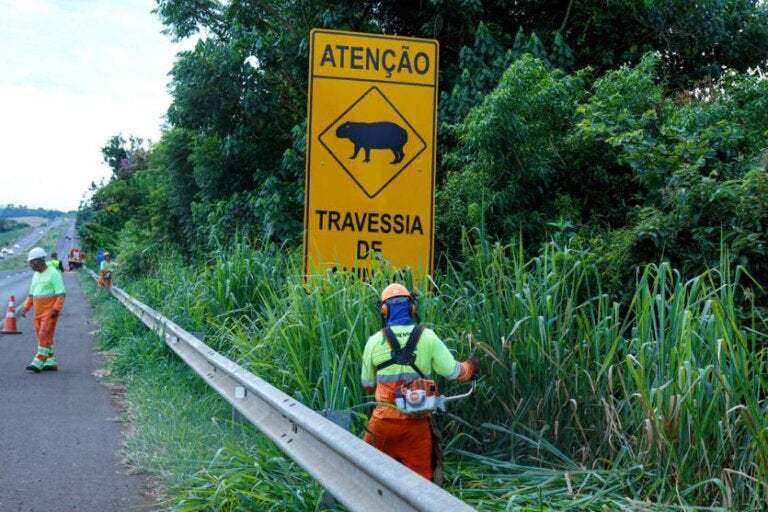 Veja os trechos com obras e conservação nas rodovias da região nesta sexta