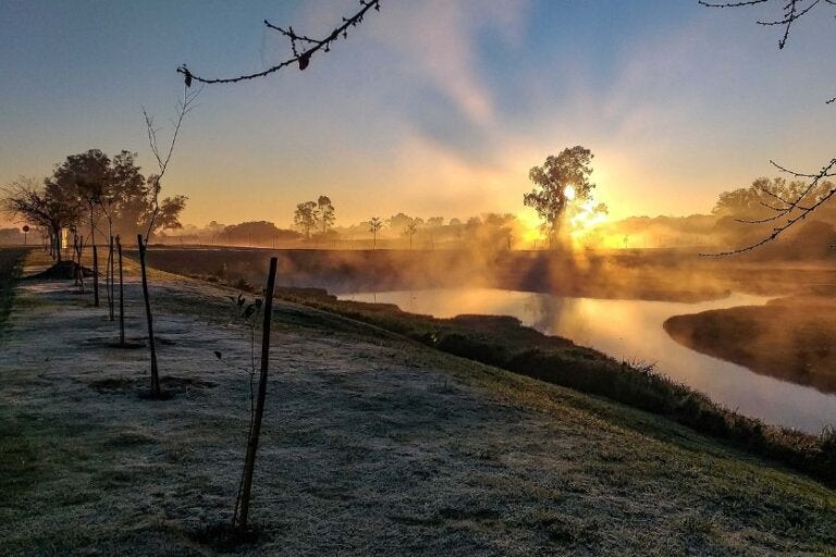 Primeiro frio intenso do ano já tem data para chegar; confira a previsão