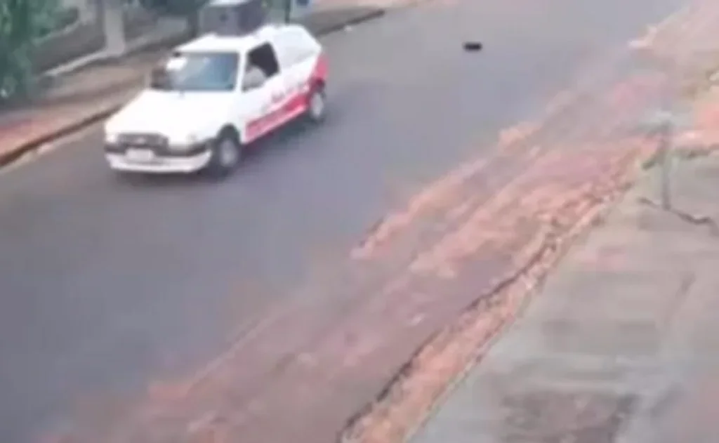 Cachorro morre após ser atropelado duas vezes por motorista em Loanda