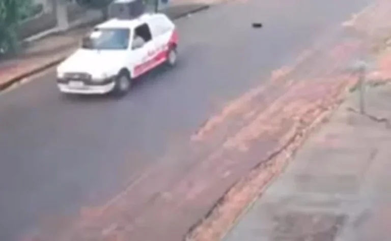 Cachorro morre após ser atropelado duas vezes por motorista em Loanda