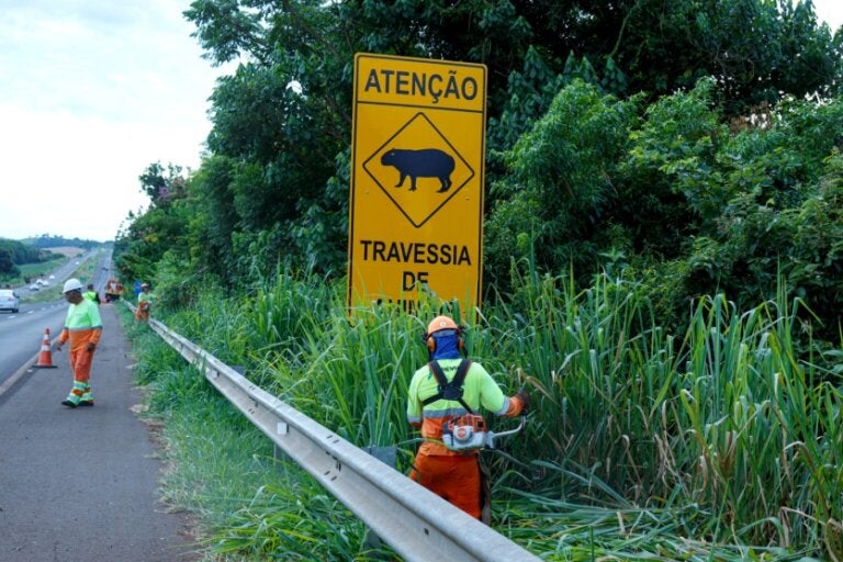 Serviços nas rodovias do Lote 4 alteram tráfego na região de Umuarama nesta terça-feira