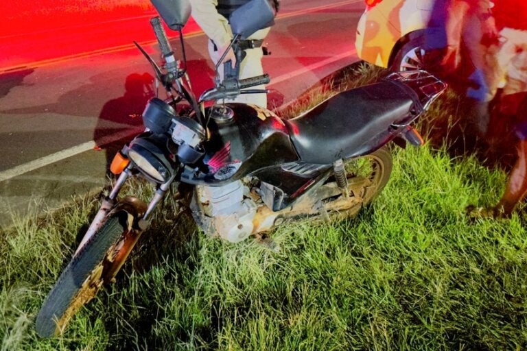 Motociclista fica ferido após colisão com vaca na PR-580, perto do Parque Jabuticabeiras
