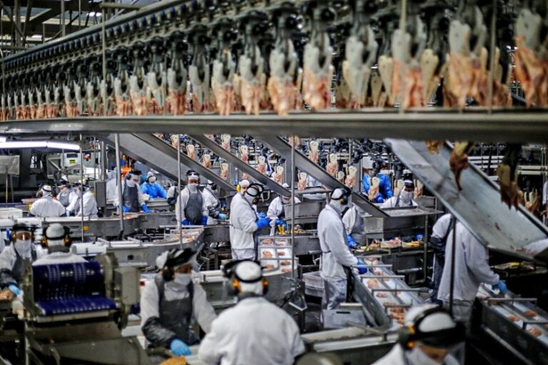 Paraná exportou frango para 150 mercados internacionais e lidera ranking nacional