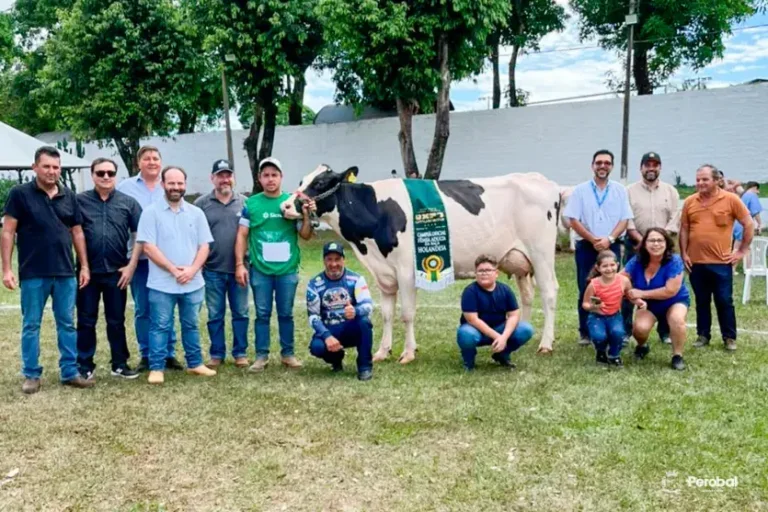 Produtores de Perobal se destacam na Expo Umuarama 2026 com prêmios na cadeia do leite