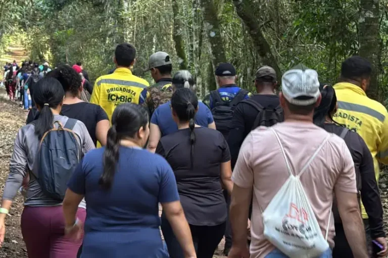 Caminhada ecológica celebra 20 anos da Reserva Biológica das Perobas em Tuneiras do Oeste