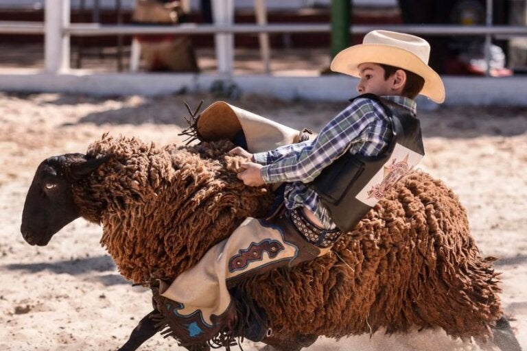 SRU divulga premiação e vagas finais para o Rodeio Mirim da Expo Umuarama