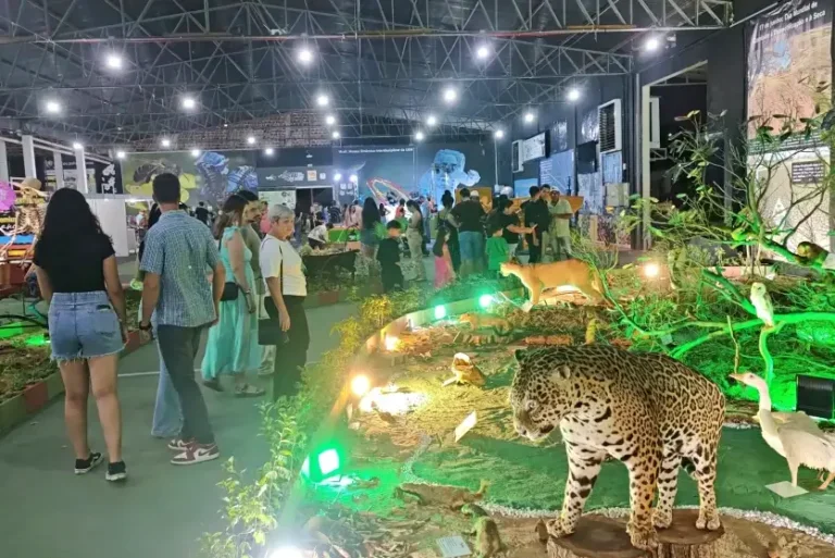 UEM leva ciência, experiências interativas e educação para a Expo Umuarama