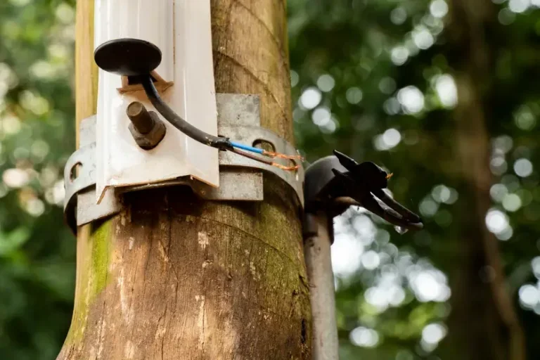 Vandalismo danifica iluminação recém-recuperada no Bosque Uirapuru