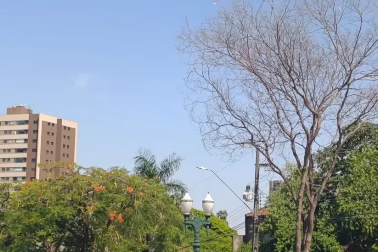 Umuarama terá calor de até 35°C e tempo firme nesta quinta-feira, aponta Simepar