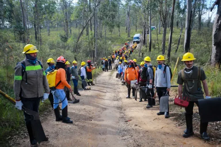 Defesa Civil do Paraná abre curso gratuito para formar voluntários em emergências
