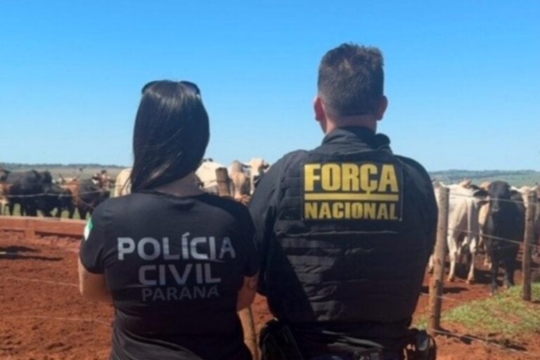 Bovinos furtados são recuperados em nova ação policial na zona rural de Alto Paraíso