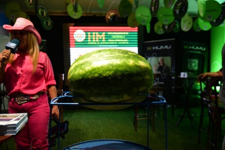 Desafio da melancia pode premiar visitante com boi na Expo Umuarama