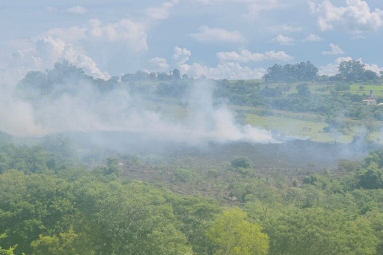 Bombeiros combatem incêndio de grandes proporções em mata nos fundos do Dom Pedro I