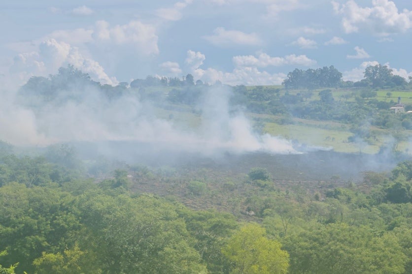 Bombeiros combatem incêndio de grandes proporções em mata nos fundos do Dom Pedro I