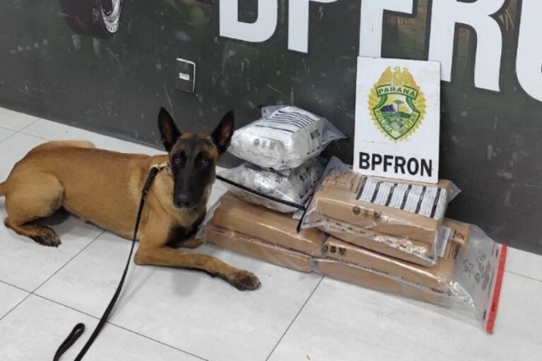 BPFron apreende R$ 340 mil em maconha com passageiros de ônibus em Umuarama