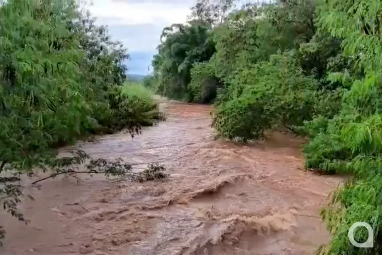 Chuva acumula 24 mm, eleva Rio Pinhalzinho e provoca alagamentos em Umuarama; vídeo