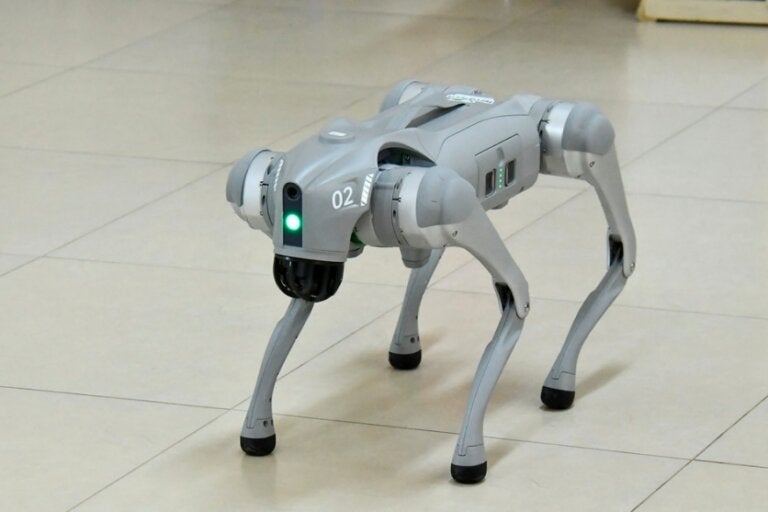 Cachorro-robô é a novidade do Technopark Umuarama e será usado em cursos de robótica