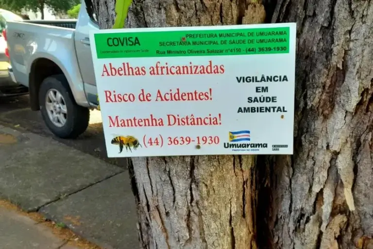 Colmeia de abelhas africanizadas preocupa moradores no Jardim São Marcos
