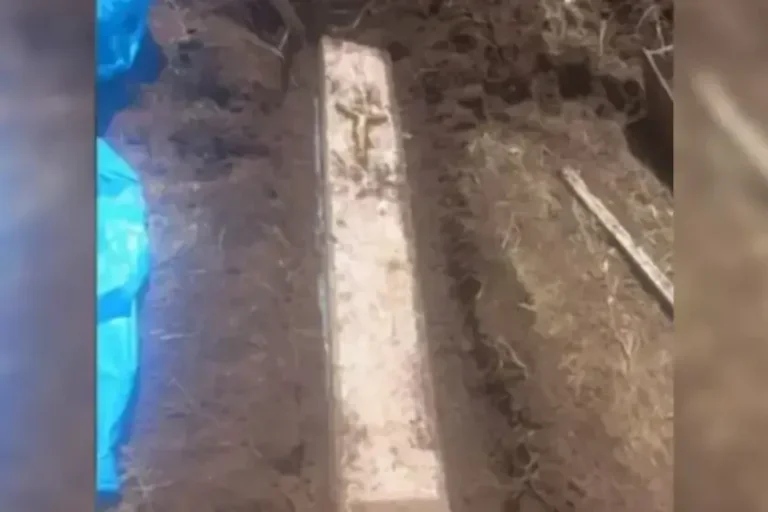 Morador encontra caixão com ossada humana enterrado em quintal de casa