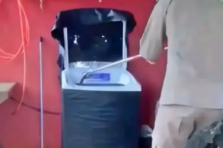 Cobra cascavel é encontrada em máquina de lavar em Terra Roxa; veja o vídeo