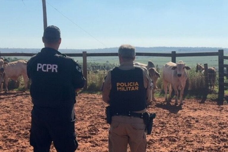 Polícia recupera bovinos furtados durante operação realizada em Alto Paraíso