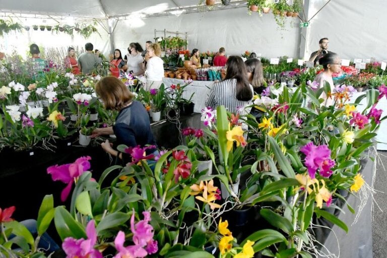 Umuarama prepara feira especial do Dia das Mães com cultura e artesanato