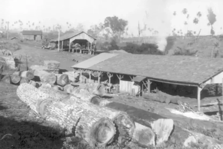 Serraria Mineira foi a precursora da rica indústria madeireira dos Anos Dourados