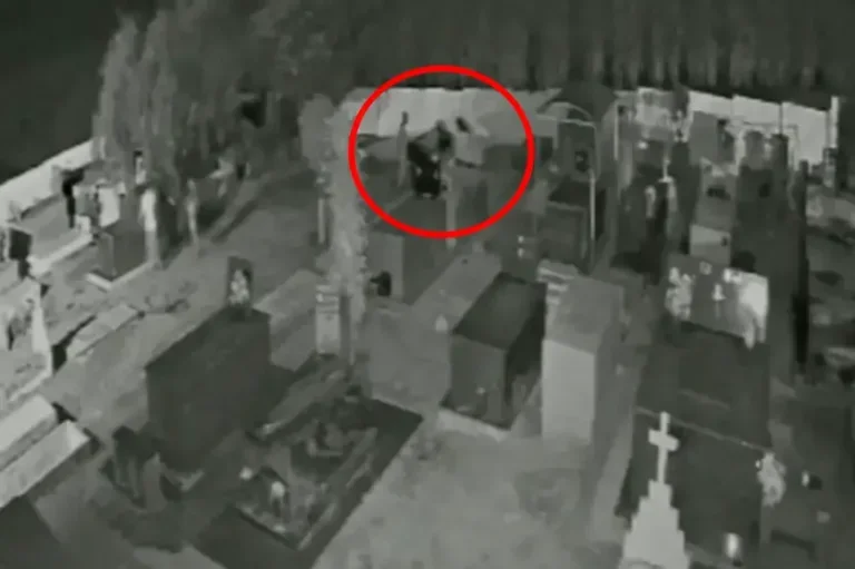 Paraná: Oito túmulos são violados e corpo sepultado há 3 meses some; com vídeo