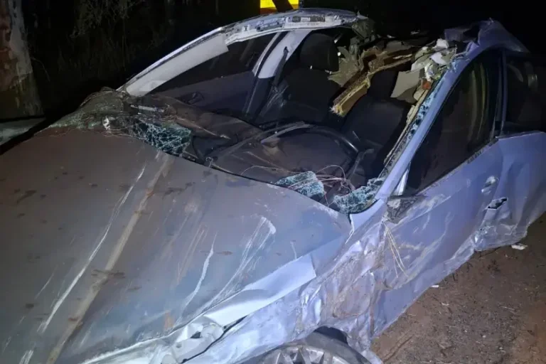 Carro sai da pista e bate em árvores na PR-490 em São Jorge do Patrocínio